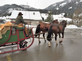 Horses working hard for the sleigh ride